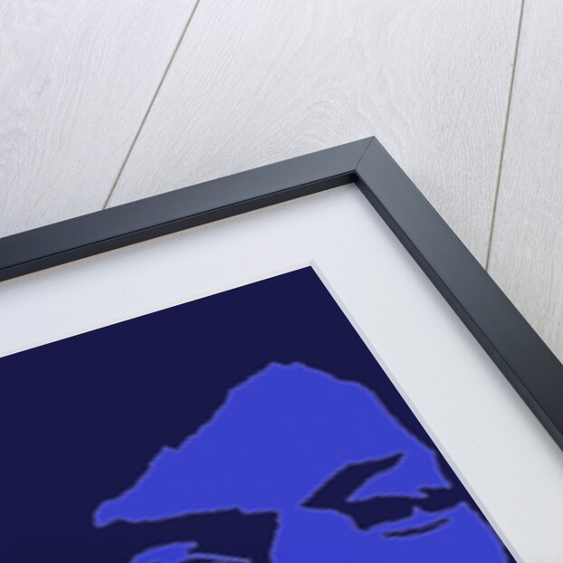 Jimi Hendrix Experience Poster by Rokpool